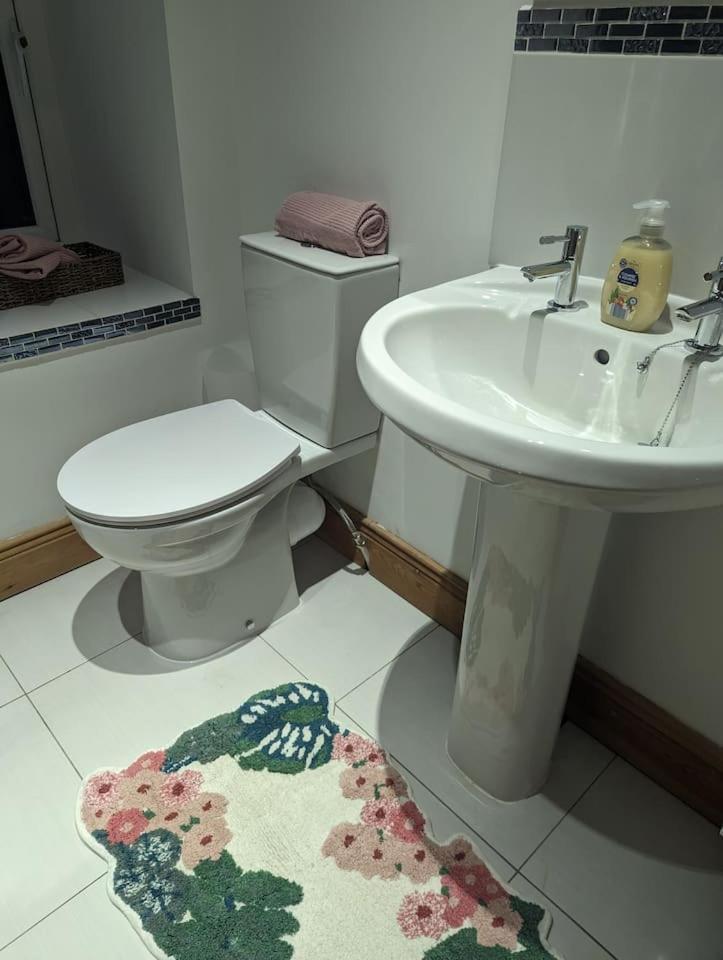 The Cottage ألستون المظهر الخارجي الصورة
